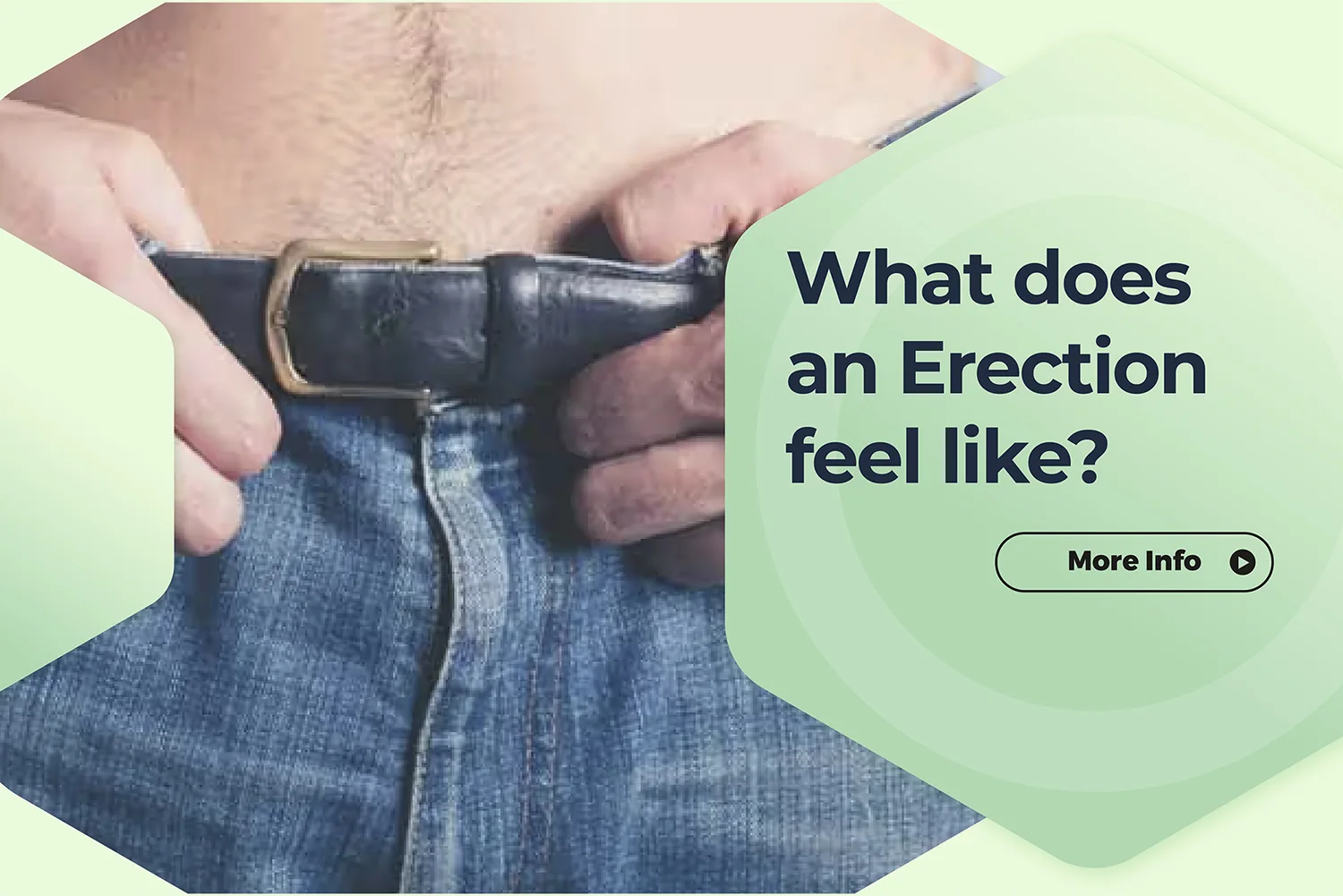 What does an erection