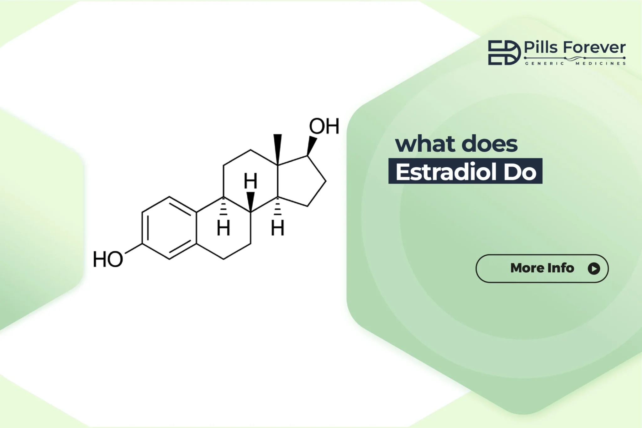 what does estradiol do scaled 2 2048x1366 1