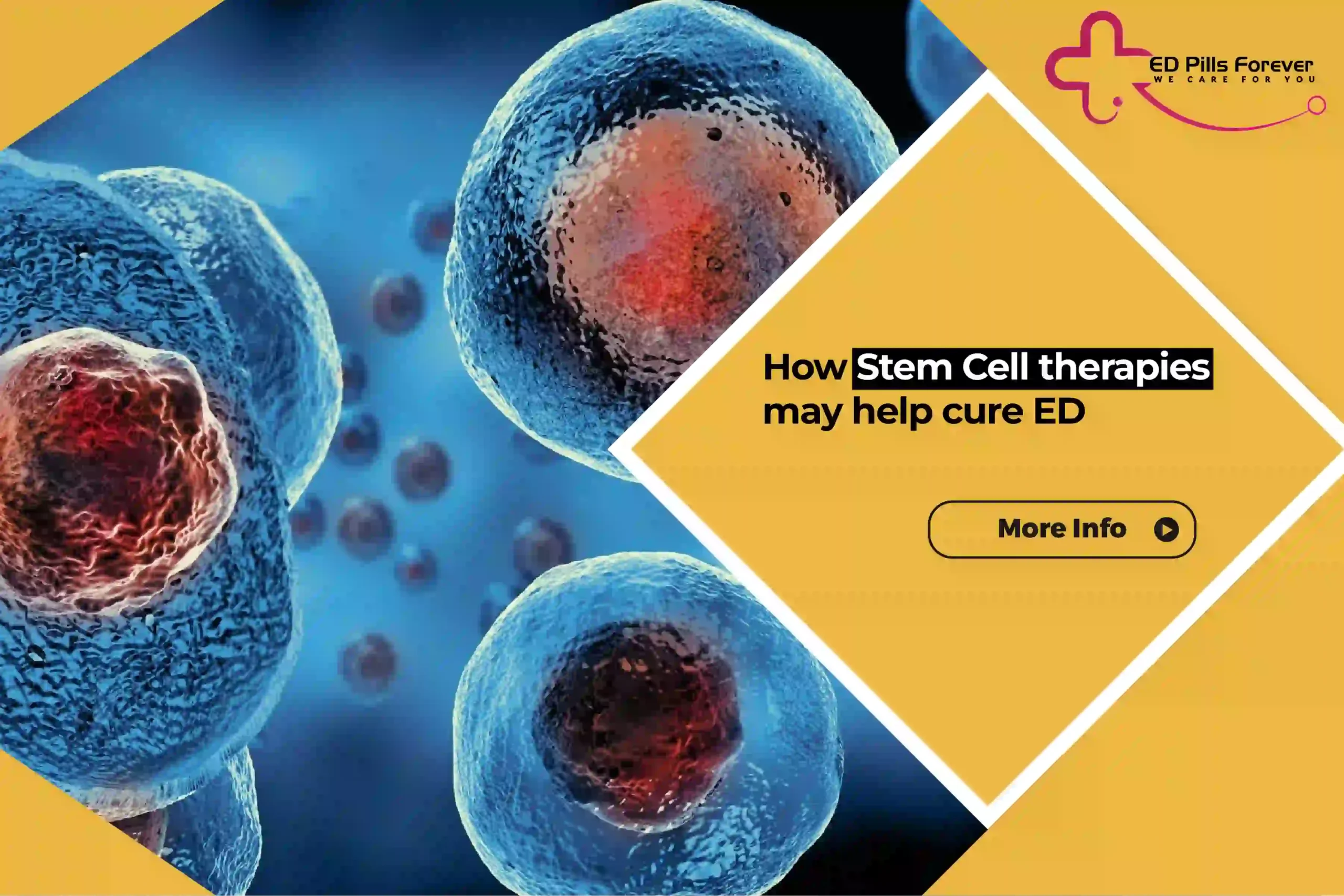 How Stem Cell therapies may help cure ED 1 scaled 1