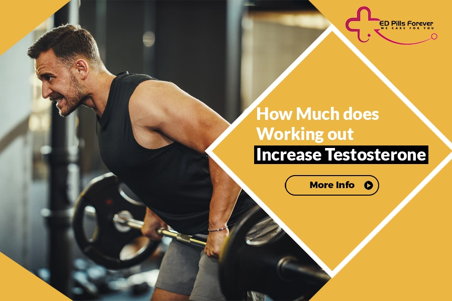 Increase Testosterone