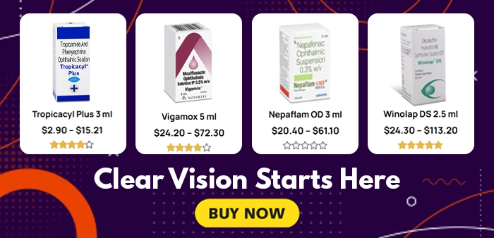 4 Banner 2 Option copy 1